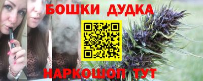 индика Донецк